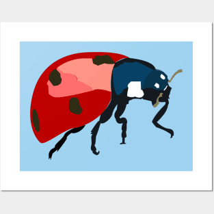 Ladybug Posters and Art